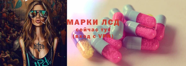 шишки Тихвин
