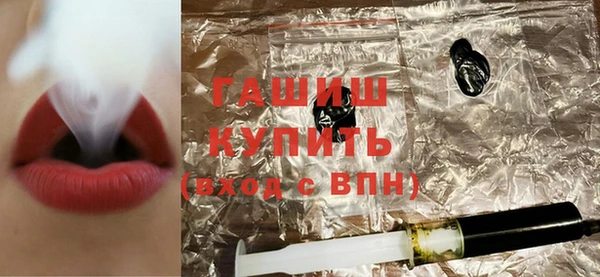 индика Бородино