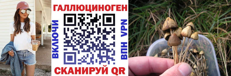 Галлюциногенные грибы Psilocybe  Кириши 
